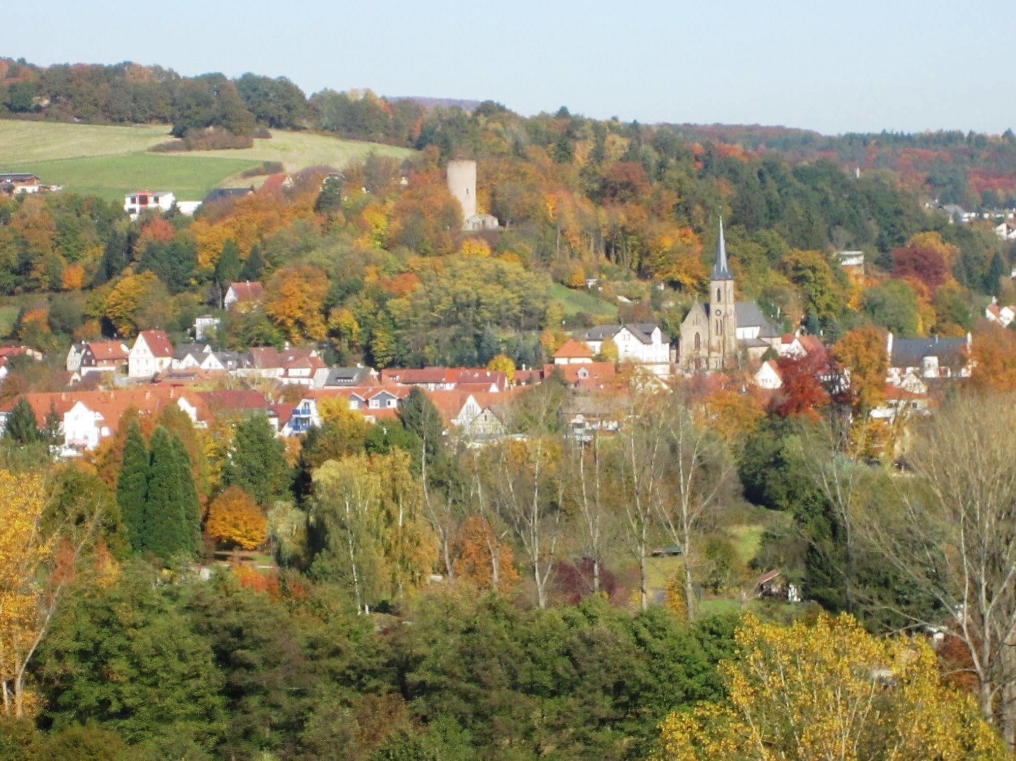 Trip Inn Landhotel Badsoden-Salmuenster Bad Soden-Salmünster Екстериор снимка